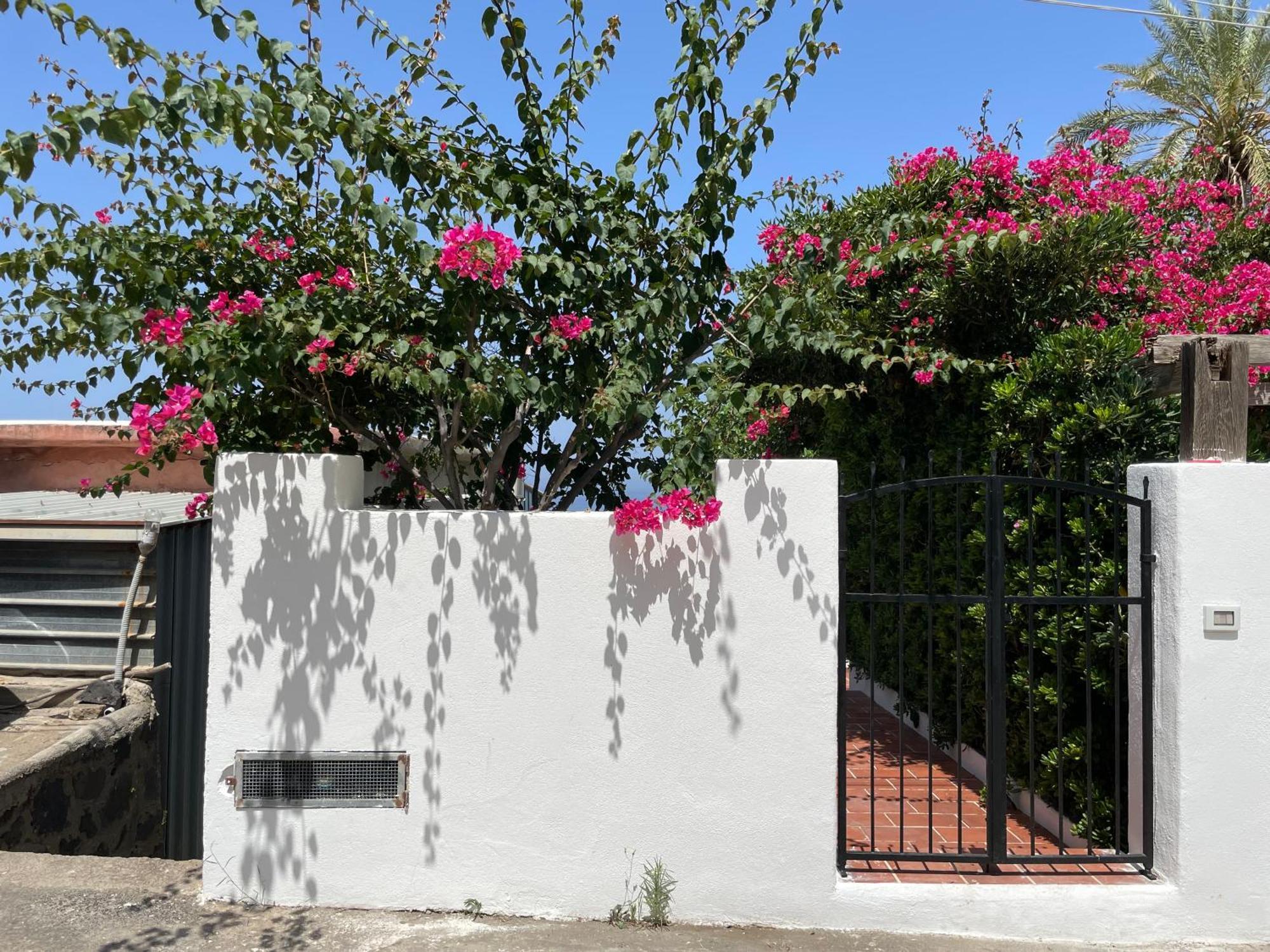 Casa Bouganville Pollara Екстериор снимка